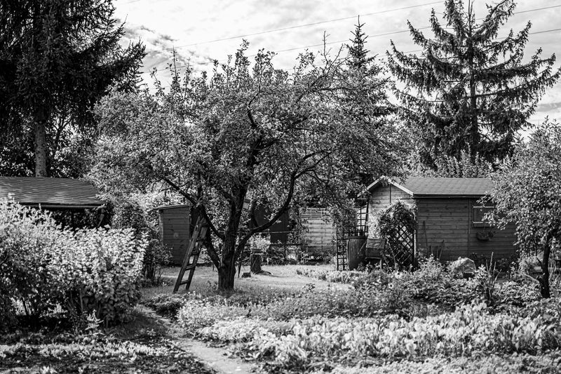 Wooden garden storage shed