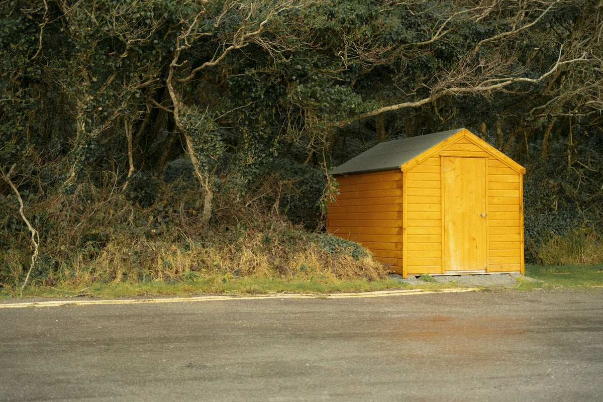 A simple wooden shed nestled amidst dense forest foliage, Ireland.