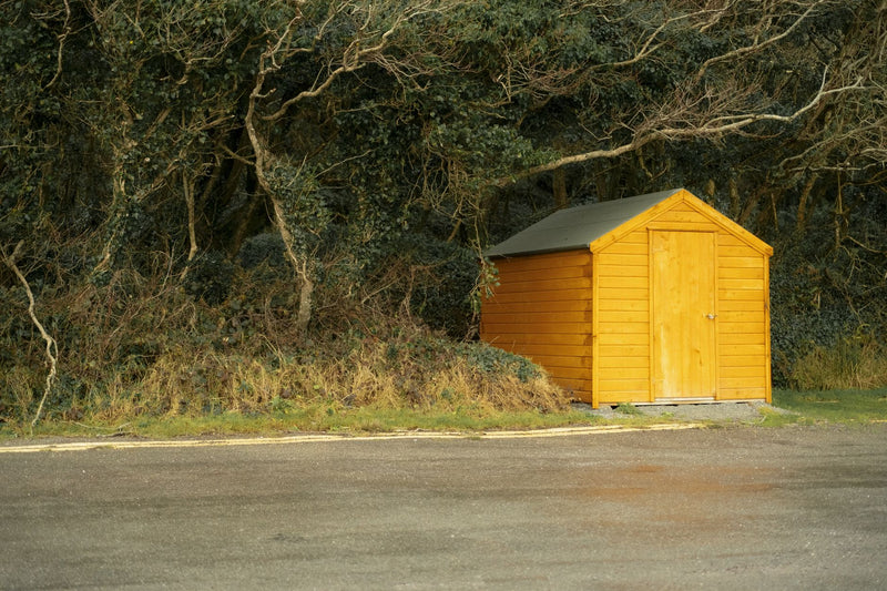 A simple wooden shed nestled amidst dense forest foliage, Ireland.